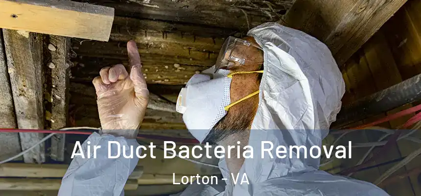  Air Duct Bacteria Removal Lorton - VA