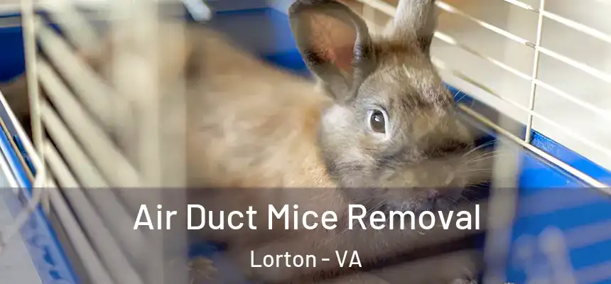  Air Duct Mice Removal Lorton - VA