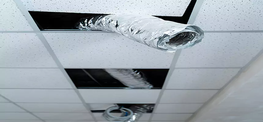 Our Air Duct Pet Hair Removal Services in Lorton, VA