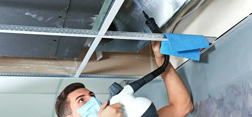 Our Air Duct Rodent Removal Services in Lorton, VA