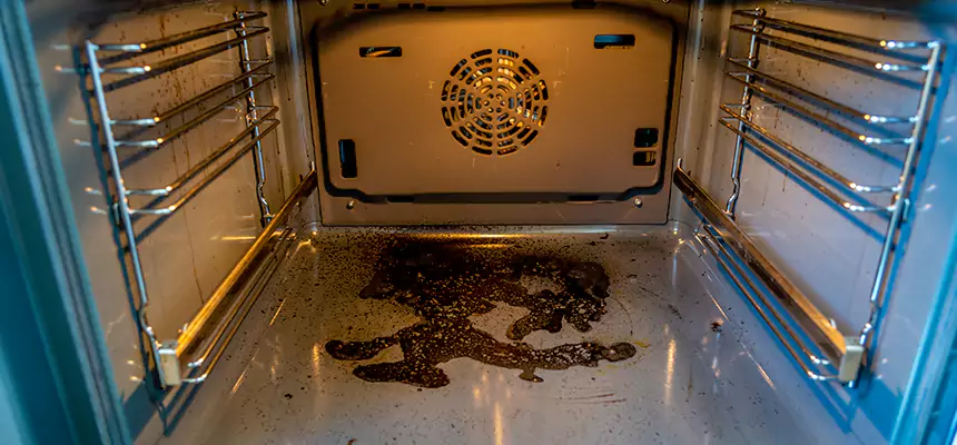 Our Dryer Vent Mold Cleaning Services in Lorton, VA