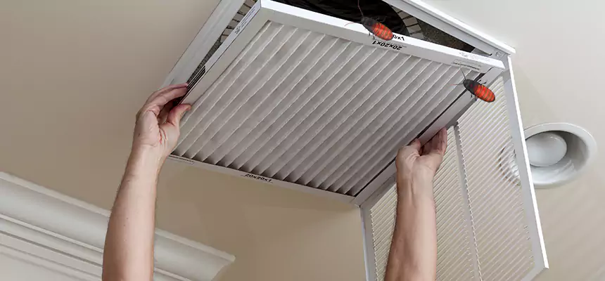 Our Insect Removal from Air Ducts Services in Lorton, VA