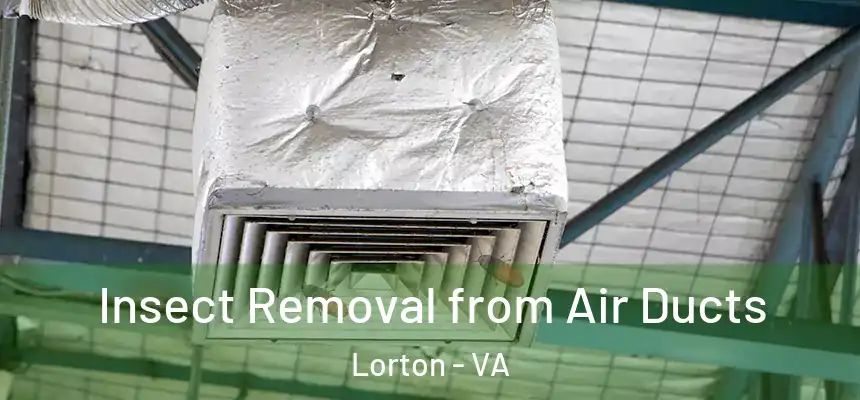  Insect Removal from Air Ducts Lorton - VA