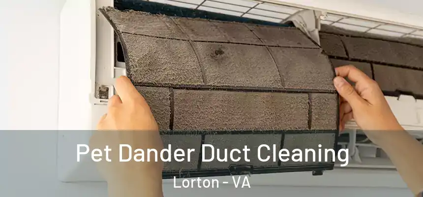  Pet Dander Duct Cleaning Lorton - VA