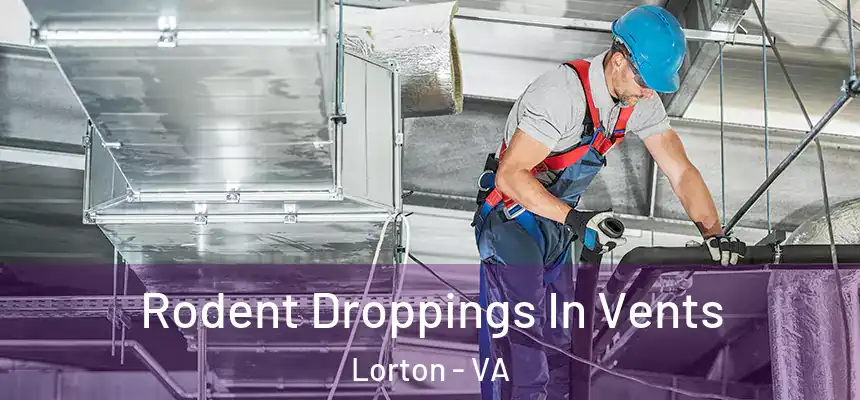  Rodent Droppings In Vents Lorton - VA