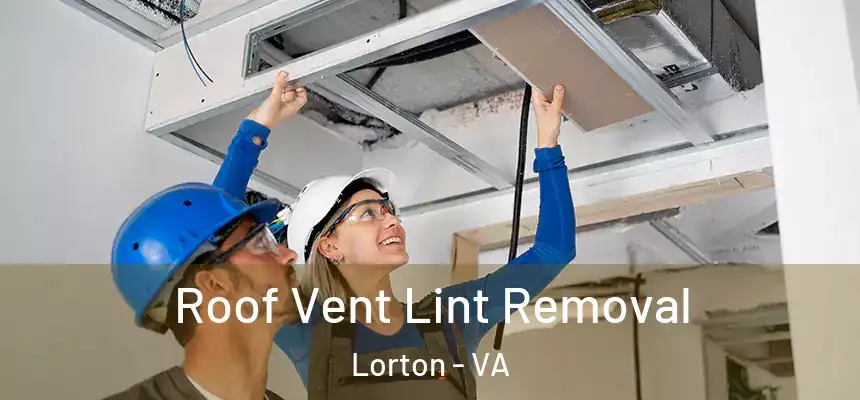  Roof Vent Lint Removal Lorton - VA