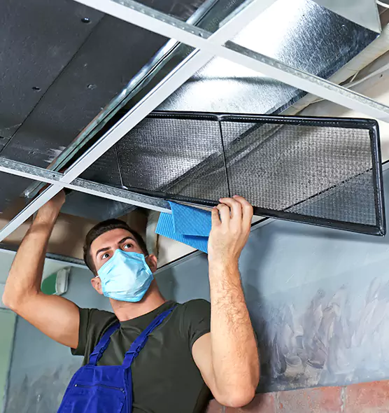 About Air Duct Bacteria Removal in Lorton