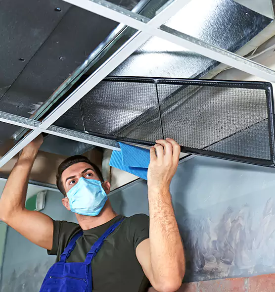 Professional Air Duct Pollen Cleaning in Lorton, VA