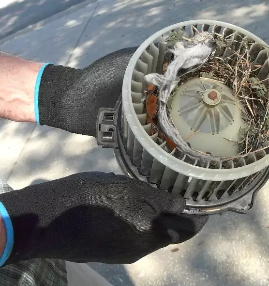 About Air Duct Rat Removal in Lorton, VA