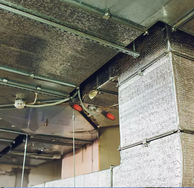 Why Homeowners & Businesses Trust Us in Lorton, VA?