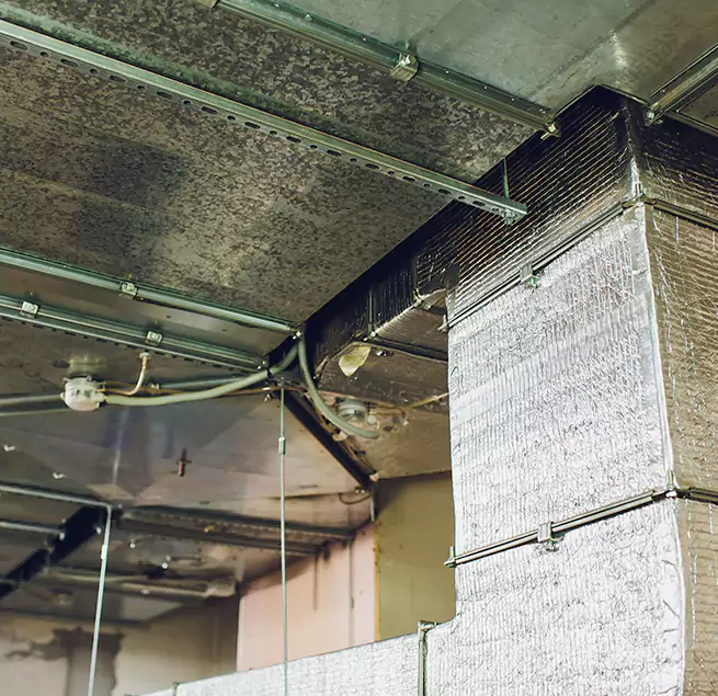 Why Homeowners & Businesses Trust Us in Lorton, VA?